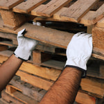 Goat Skin Leather Driver Gloves | Touch Screen Compatible | GG302